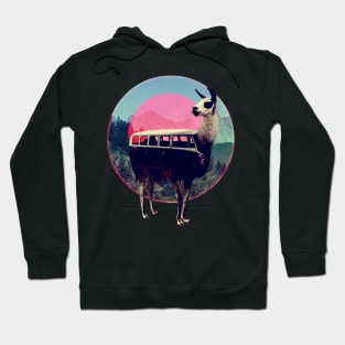 Llama Hoodie